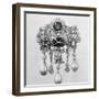 Brooch-null-Framed Photographic Print