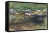 Brook and Meadow, c.1907-John Singer Sargent-Framed Stretched Canvas
