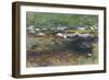 Brook and Meadow, c.1907-John Singer Sargent-Framed Giclee Print