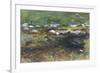 Brook and Meadow, c.1907-John Singer Sargent-Framed Giclee Print