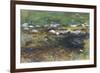 Brook and Meadow, c.1907-John Singer Sargent-Framed Giclee Print