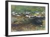 Brook and Meadow, c.1907-John Singer Sargent-Framed Giclee Print