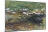 Brook and Meadow, c.1907-John Singer Sargent-Mounted Giclee Print