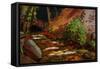 Brook at Kit Carson State Forest-John Newcomb-Framed Stretched Canvas