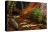 Brook at Kit Carson State Forest-John Newcomb-Stretched Canvas