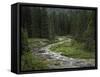 Brook in the Vallesinella Valley, Brenta Adamello Nature Reserve, Trentino-Rainer Mirau-Framed Stretched Canvas