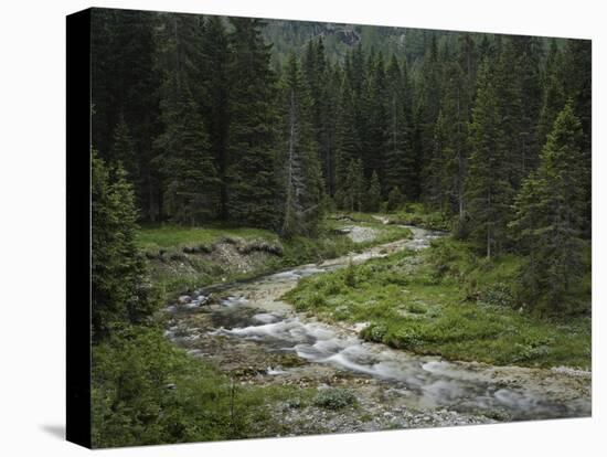 Brook in the Vallesinella Valley, Brenta Adamello Nature Reserve, Trentino-Rainer Mirau-Stretched Canvas