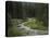 Brook in the Vallesinella Valley, Brenta Adamello Nature Reserve, Trentino-Rainer Mirau-Stretched Canvas