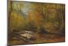 Brook in Woods-Albert Bierstadt-Mounted Premium Giclee Print
