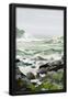 Essential Black