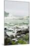 Wood Mount