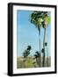 Black Frame