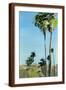 Brown Frame
