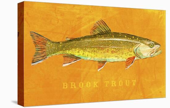 Brook Trout-John Golden-Stretched Canvas