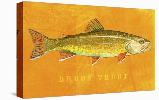 Brook Trout-John Golden-Stretched Canvas