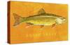 Brook Trout-John Golden-Stretched Canvas