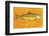 Brook Trout-John W^ Golden-Framed Art Print