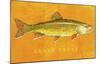 Brook Trout-John W^ Golden-Mounted Art Print