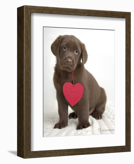 Brookby-Rachael Hale-Framed Art Print