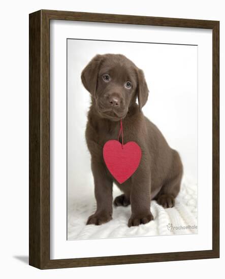 Brookby-Rachael Hale-Framed Art Print