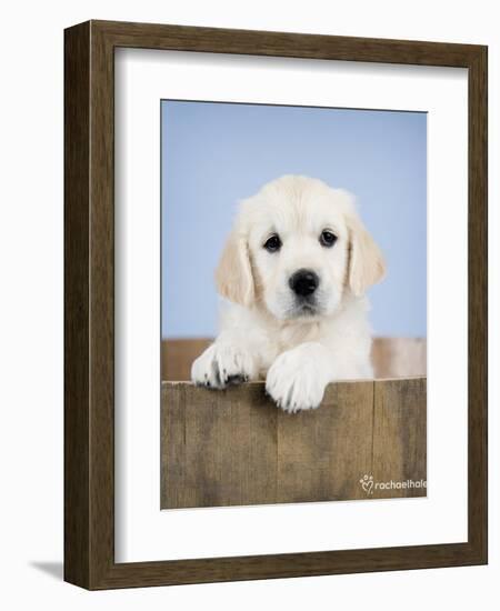 Brookby-Rachael Hale-Framed Art Print