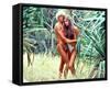 Brooke Shields - The Blue Lagoon-null-Framed Stretched Canvas