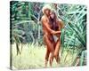 Brooke Shields - The Blue Lagoon-null-Stretched Canvas