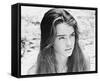 Brooke Shields - The Blue Lagoon-null-Framed Stretched Canvas