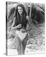 Brooke Shields-null-Stretched Canvas