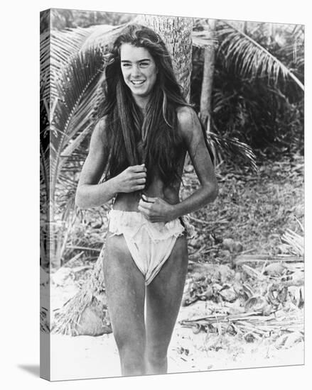 Brooke Shields-null-Stretched Canvas