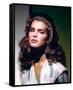 Brooke Shields-null-Framed Stretched Canvas