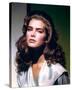 Brooke Shields-null-Stretched Canvas