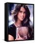 Brooke Shields-null-Framed Stretched Canvas