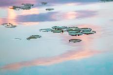 Cloud Reflections-Brooke T. Ryan-Photographic Print