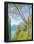 Essential Black