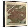 Brooklyn 1908 Bird's Eye View-null-Framed Stretched Canvas