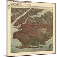 Brooklyn 1908 Bird's Eye View-null-Mounted Giclee Print