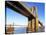 Brooklyn and Manhattan Bridges-Alan Schein-Stretched Canvas