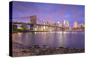 Brooklyn Bridge and Lower Manhattan/Downtown, New York City, New York, USA-Jon Arnold-Stretched Canvas