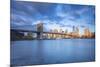 Brooklyn Bridge and Lower Manhattan/Downtown, New York City, New York, USA-Jon Arnold-Mounted Photographic Print