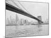 Brooklyn Bridge and Lower Manhattan, New York, New York-Tony Camerano-Mounted Photographic Print