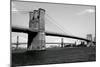 Brooklyn Bridge and Manhattan Bridge, Day-Phil Maier-Mounted Art Print