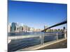 Brooklyn Bridge and Manhattan from Fulton Ferry Landing, Brooklyn, New York City, USA-Amanda Hall-Mounted Photographic Print