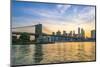 Brooklyn Bridge and Manhattan skyline at dusk, viewed from the East River, New York City, United St-Fraser Hall-Mounted Photographic Print