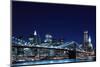 Brooklyn Bridge and Manhattan Skyline at Night, New York City-Zigi-Mounted Photographic Print