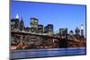 Brooklyn Bridge and Manhattan Skyline at Night, New York City-Zigi-Mounted Photographic Print