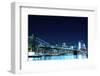 Brooklyn Bridge and Manhattan Skyline at Night, New York City-Zigi-Framed Photographic Print