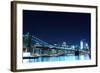 Brooklyn Bridge and Manhattan Skyline at Night, New York City-Zigi-Framed Photographic Print