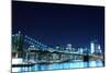 Brooklyn Bridge and Manhattan Skyline at Night, New York City-Zigi-Mounted Photographic Print