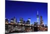 Brooklyn Bridge and Manhattan Skyline at Night, New York City-Zigi-Mounted Photographic Print